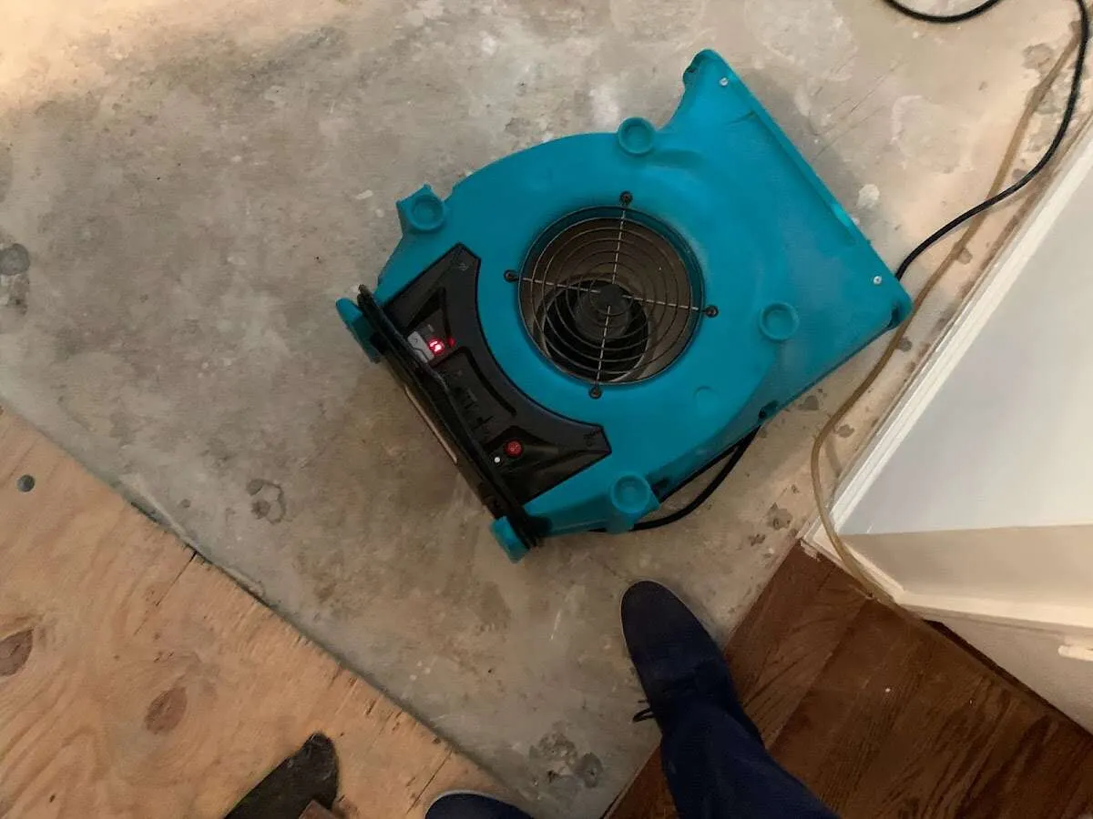 Air mover drying subfloor during Commercial Water Damage Restoration in Tell City